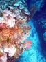 AmbergrisCaye05 - 120